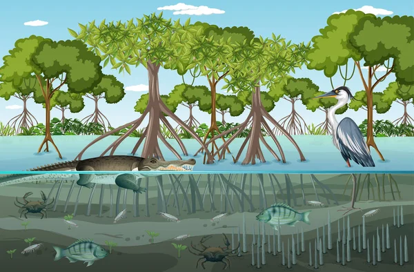 Mangrove Bos Landschap Scène Overdag Met Veel Verschillende Dieren Illustratie — Stockvector