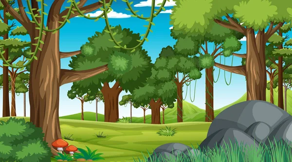 Skogsscenen Med Olika Skogsträd Och Illustration — Stock vektor