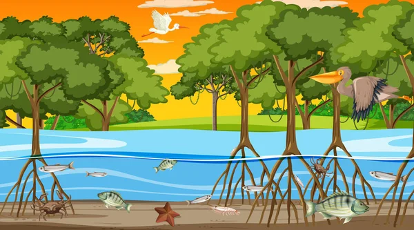Tiere Leben Mangrovenwald Bei Sonnenuntergang Szene Illustration — Stockvektor