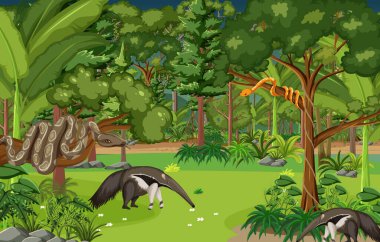 Çeşitli vahşi hayvan resimleriyle tropik yağmur ormanı sahnesi