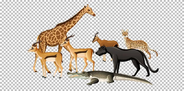 Skupina Volně Žijících Afrických Zvířat Průhledném Pozadí Ilustrace — Stockový vektor