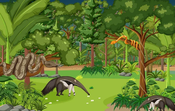 Çeşitli vahşi hayvan resimleriyle tropik yağmur ormanı sahnesi