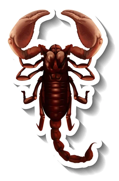 Ένα Πρότυπο Αυτοκόλλητου Κορυφαία Προβολή Ενός Απομονωμένου Scorpion Εικονογράφηση — Διανυσματικό Αρχείο