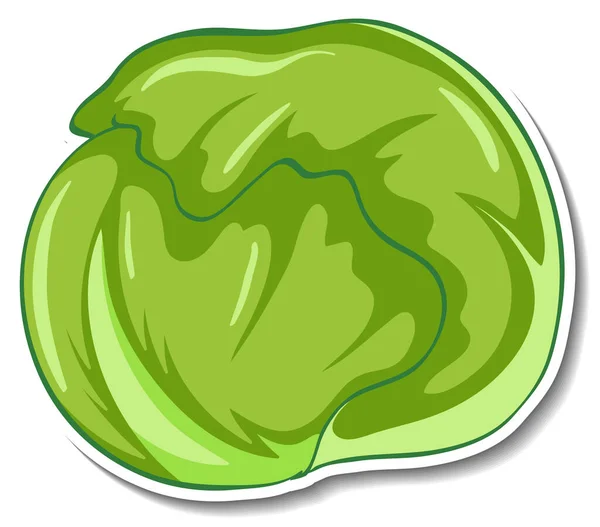 Cabbage Sticker White Background Illustration — Stock Vector