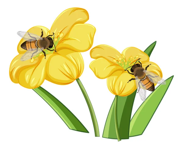 花のイラストで蜂のクローズアップ — ストックベクタ