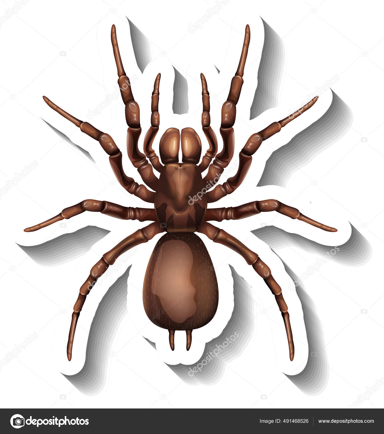 거미가 그리는 위에서 내려다 보이는 스티커같은 스톡 벡터 - ©blueringmedia 491468526, image size:1506x1700