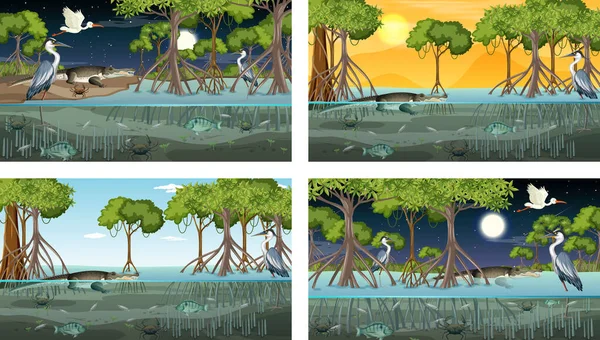 Verschiedene Mangrovenwälder Landschaftsszenen Mit Tieren Und Pflanzen Illustration — Stockvektor