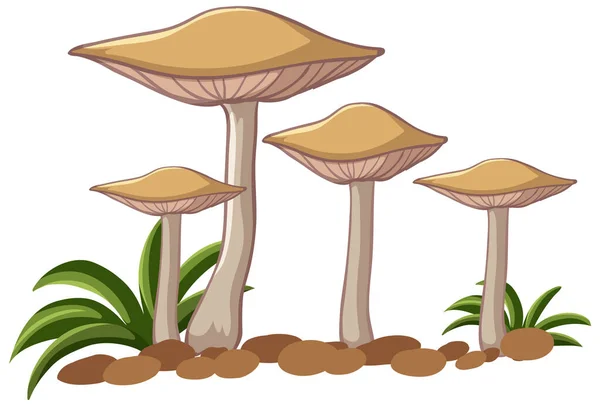 Ciuperci Sol Iarbă Fundal Alb Ilustrație — Vector de stoc