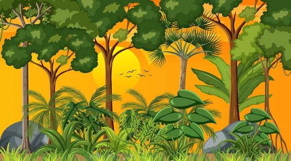 Paisagem Florestal Cena Pôr Sol Tempo Ilustração —  Vetores de Stock
