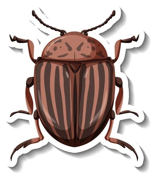 Una Plantilla Pegatina Con Vista Superior Colorado Escarabajo Patata Ilustración — Archivo Imágenes Vectoriales
