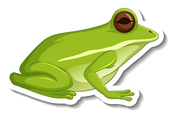 Yeşil Kurbağa Resimli Bir Etiket Şablonu — Stok Vektör