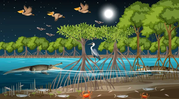 Mangrove Bos Landschap Scène Nachts Met Veel Verschillende Dieren Illustratie — Stockvector