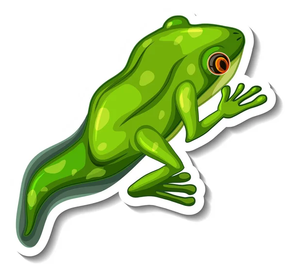 Eine Sticker Vorlage Mit Einer Froglet Isolierten Abbildung — Stockvektor