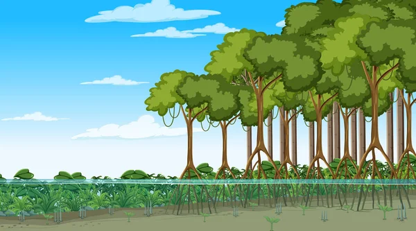 Natuur Scène Met Mangrove Bos Cartoon Stijl Illustratie — Stockvector