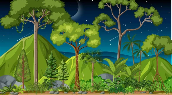 Paisagem Florestal Cena Noite Com Muitas Árvores Diferentes Ilustração —  Vetores de Stock