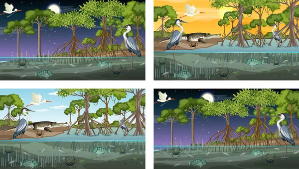 Різні Мангрові Лісові Пейзажні Сцени Ілюстрацією Тварин — стоковий вектор