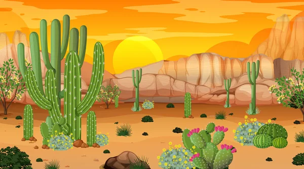 Woestijnbos Landschap Bij Zonsondergang Tijd Scène Met Veel Cactussen Illustratie — Stockvector