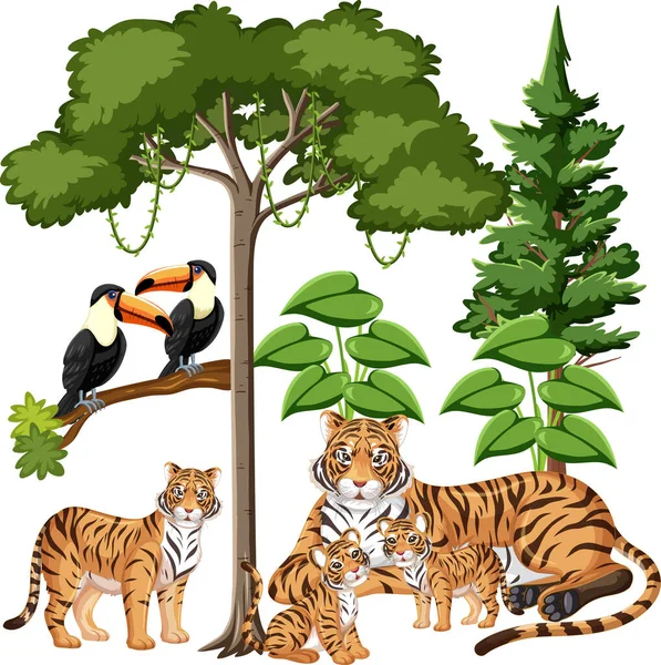 Groupe Famille Des Tigres Avec Des Éléments Sauvages Sur Fond — Image vectorielle