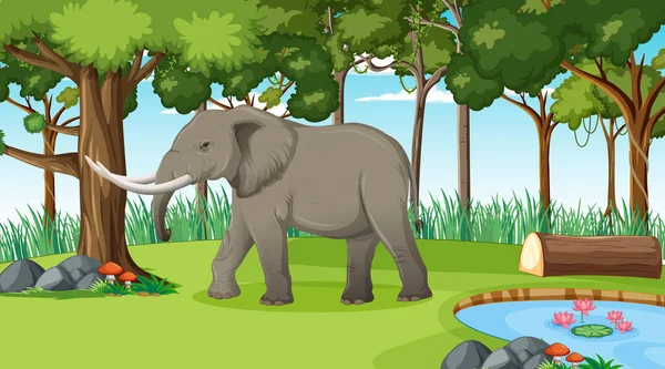 Elephant Forest Rainforest Scene Many Trees Illustration — Stock Vector