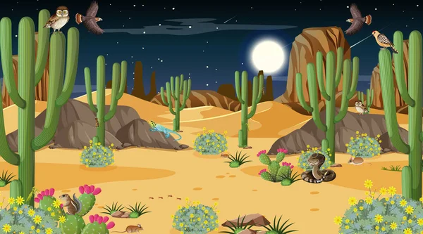 Sivatagi Erdő Táj Éjszakai Jelenet Sivatagi Állatok Növények Illusztráció — Stock Vector