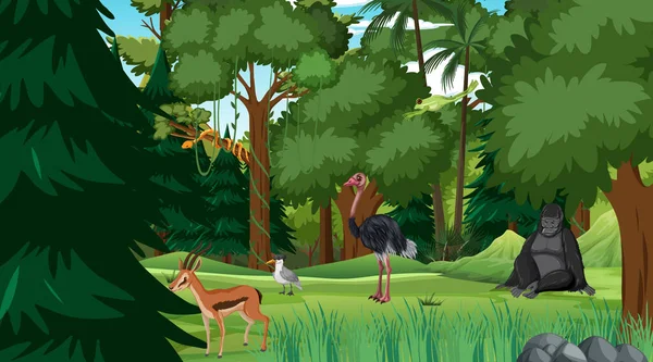 Forêt Tropicale Scène Jour Avec Différentes Illustrations Animaux Sauvages — Image vectorielle