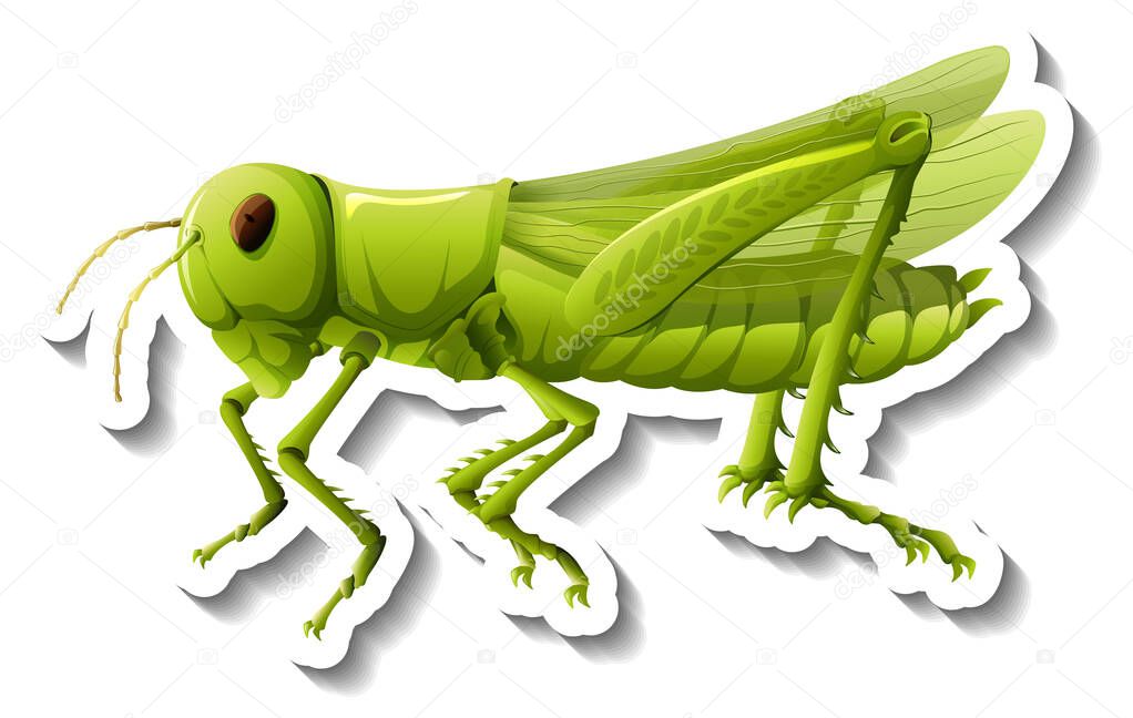 A sticker template with a grasshopper isolated illustration