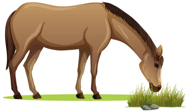 Horse Eating Grass Cartoon Style Isolated Illustration — Stock Vector