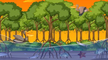 Hayvanlar gün batımında Mangrove ormanlarında yaşar.
