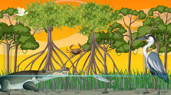 Dieren Leven Mangrove Bos Bij Zonsondergang Tijd Scène Illustratie — Stockvector