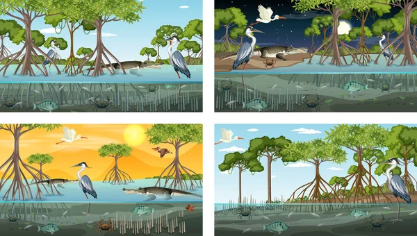 Olika Mangrove Skog Landskap Scener Med Olika Djur Illustration — Stock vektor