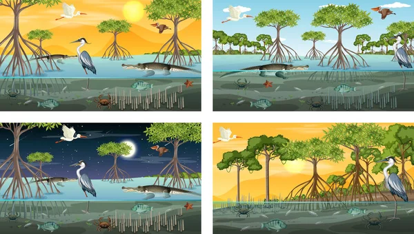 Διαφορετικές Σκηνές Τοπίο Δάσος Μαγκρόβια Ζώα Εικονογράφηση — Διανυσματικό Αρχείο