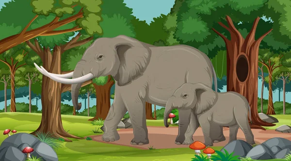 森林中的大象或热带雨林中的大象 有许多树的图解 — 图库矢量图片