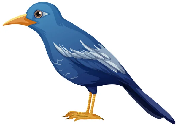 Modrý Pták Zvíře Bílém Pozadí Ilustrace — Stockový vektor