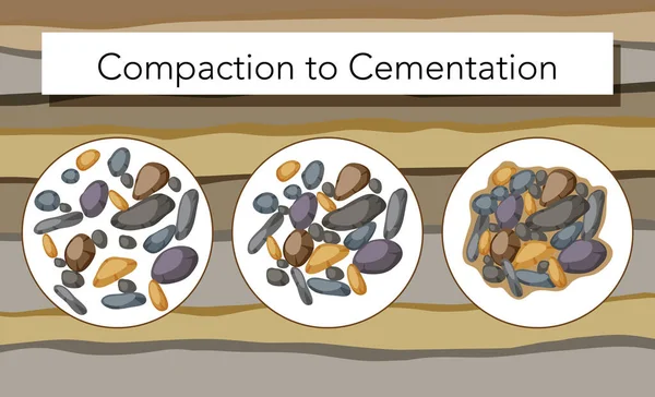 Processus Compactage Cimentation Pour Illustration Éducation — Image vectorielle