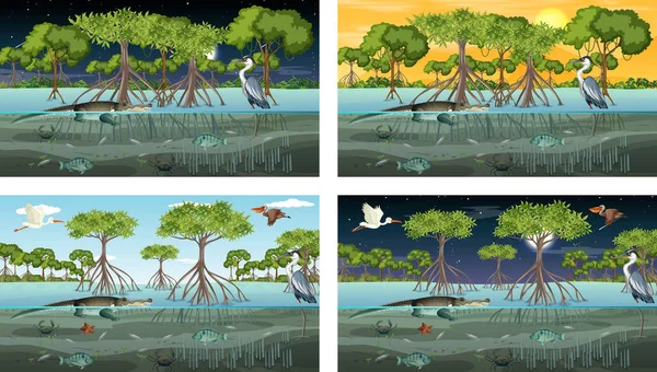 Différentes Scènes Paysage Mangrove Avec Des Animaux Des Plantes Illustration — Image vectorielle