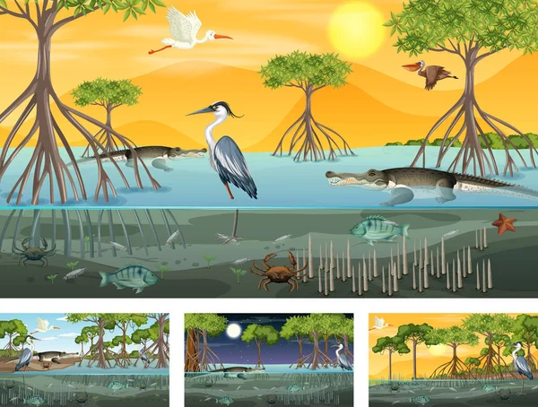 Différentes Scènes Avec Des Mangroves Paysage Forestier Avec Des Animaux — Image vectorielle