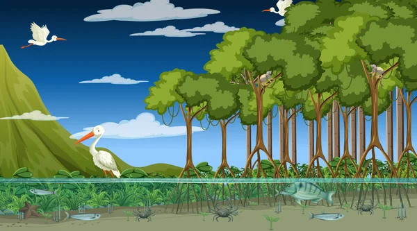 Les Animaux Vivent Dans Forêt Mangroves Nuit Illustration Scène — Image vectorielle