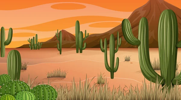 Пейзаж Пустынных Лесов Закате Многими Иллюстрациями Кактусов — стоковый вектор