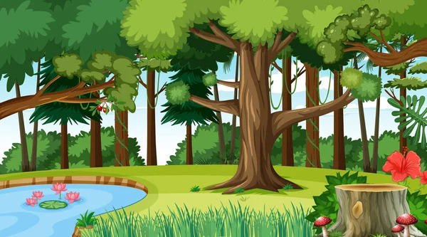 Naturaleza Bosque Paisaje Escena Durante Día Ilustración — Vector de stock