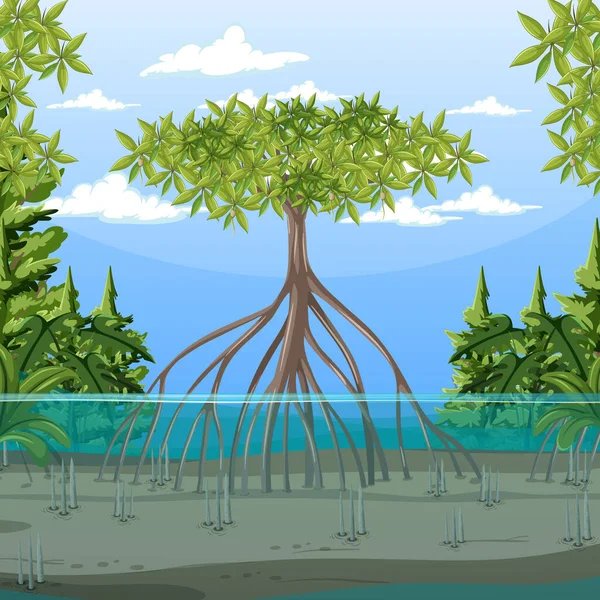 Adegan Alam Dengan Hutan Mangrove Dalam Ilustrasi Gaya Kartun - Stok Vektor