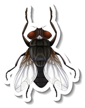 Sinek izole edilmiş bir illüstrasyonun üst görüntüsüne sahip bir etiket şablonu