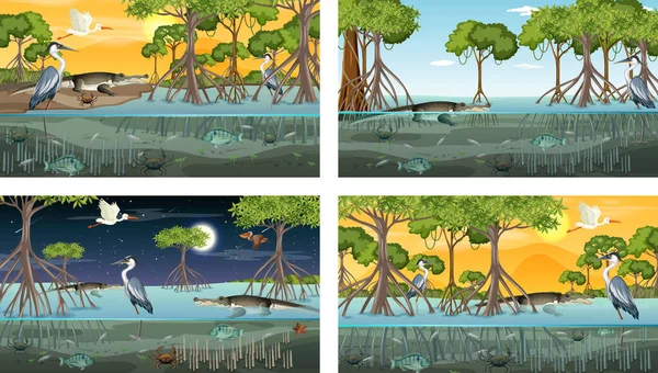 Diferentes Paisagens Florestais Manguezais Com Animais Ilustração —  Vetores de Stock