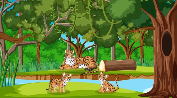 Familia Tigres Escena Del Bosque Selva Tropical Con Muchos Árboles — Archivo Imágenes Vectoriales