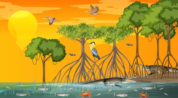 Mangrove Paysage Forestier Scène Coucher Soleil Avec Nombreux Animaux Illustration — Image vectorielle