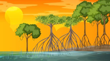 Gün batımında Mangrove orman manzarası.