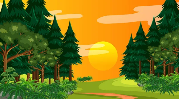 Rainforest Tropical Forest Sunset Time Scene Illustration — Stock Vector