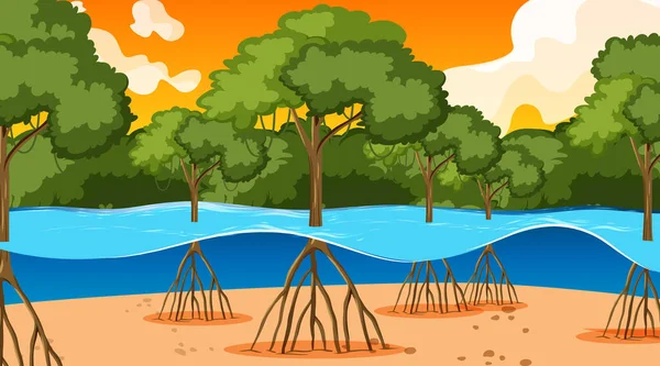 Nature Scene Mangrove Forest Sunset Time Cartoon Style Illustration — Stock Vector