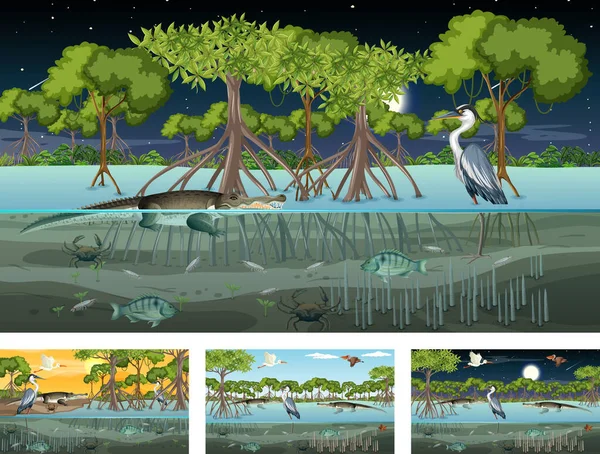 Verschiedene Mangrovenwälder Landschaft Szenen Mit Verschiedenen Tieren Illustration — Stockvektor
