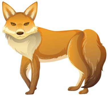 Beyaz arkaplanda Fox hayvanı