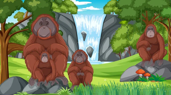 Orangutan Forest Rainforest Scene Many Trees Illustration — Stock Vector